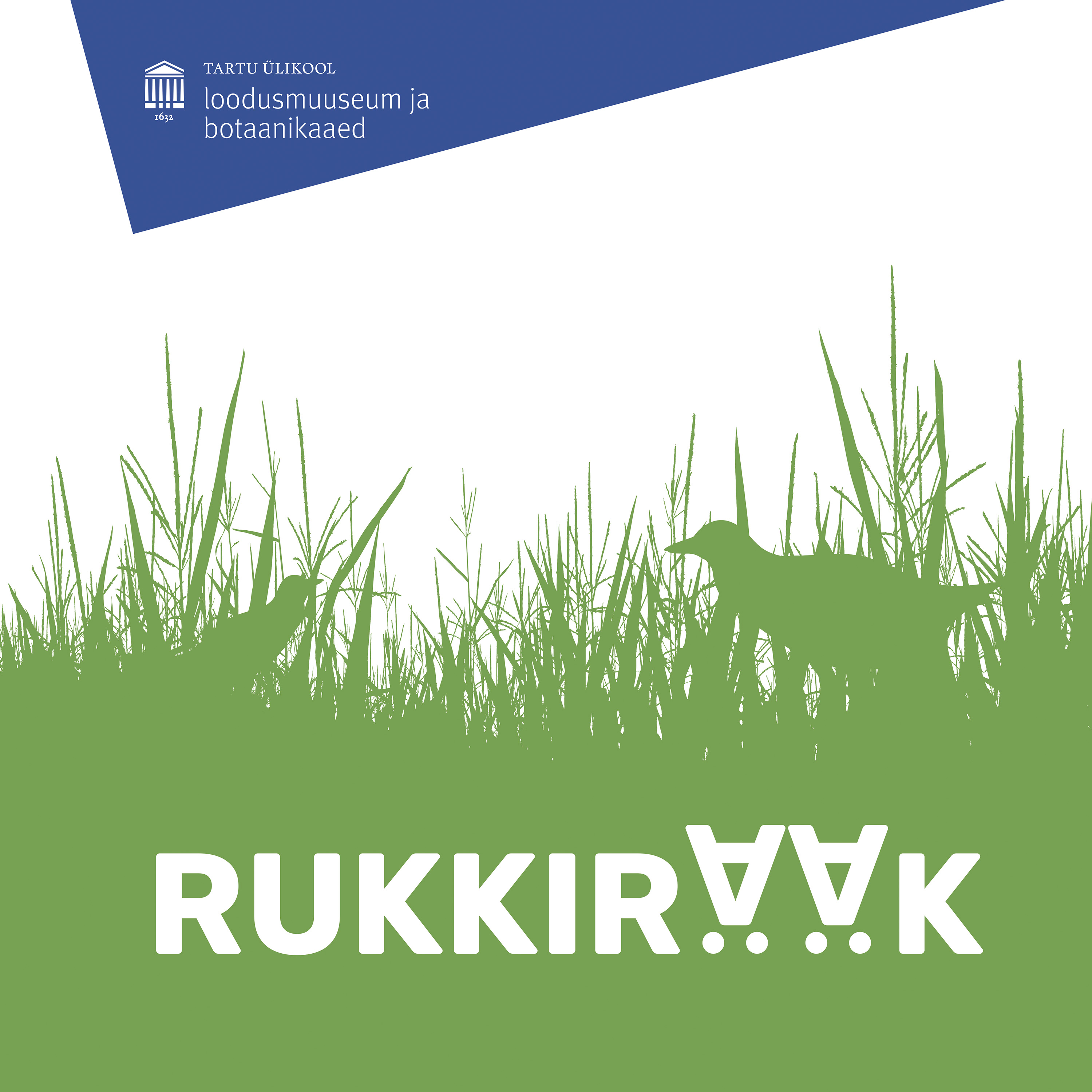 rukkurääk