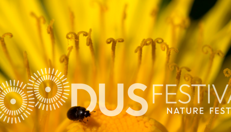 Loodusfestival 2019