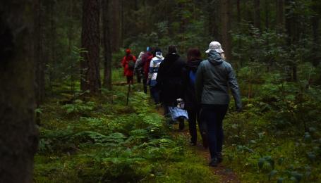 Inimesed kõnnivad üksteise järel hämaras metsas.