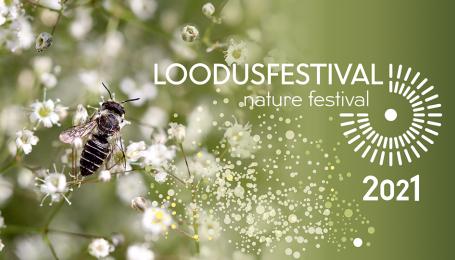 Loousfestival