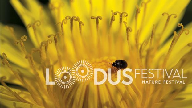 Loodusfestival