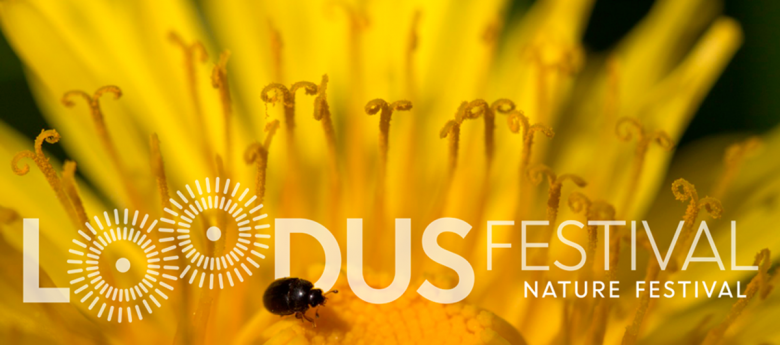 Loodusfestival 2019