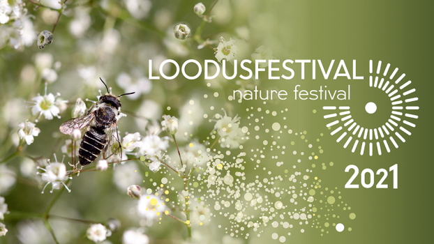 Loousfestival