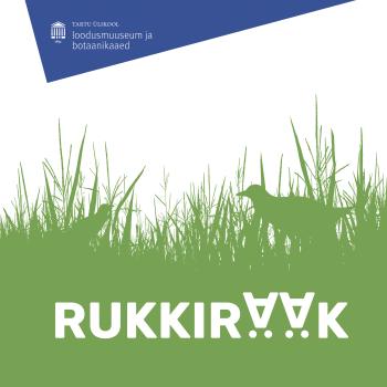 Rukkirääk visuaal