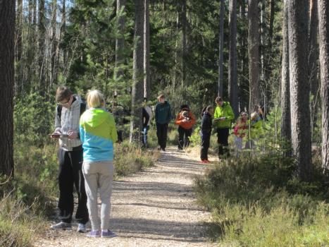 keskkonnauuringute võistlus