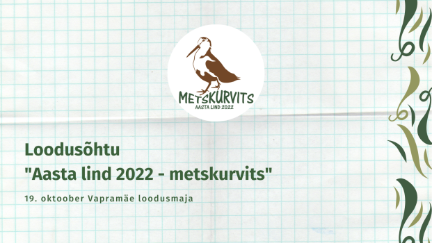 Ruudulisel taustal on pruuni värvi metskurvitsa logo, allpool rohelist värvi tekstid ja paremal servas roheline muster.